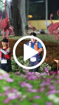 BIB:  <button type="button" onclick="openModal(27589961)" class="btn btn-primary btn-sm float-right" data-toggle="modal" data-target=".modal-high-quality">
                <i class="fa fa-download"></i> Download
                </button>